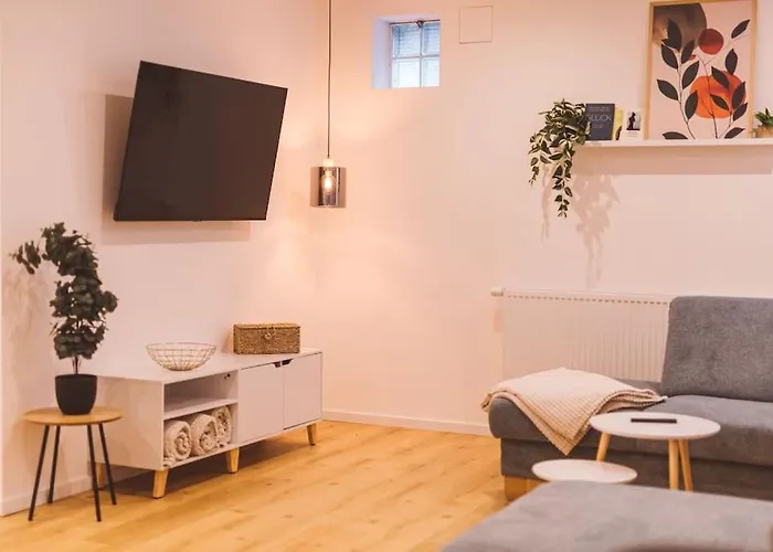 Appartement Einzigartiges Im Zentrum Von Neurenberg